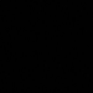 Meet your Posher, Alaina